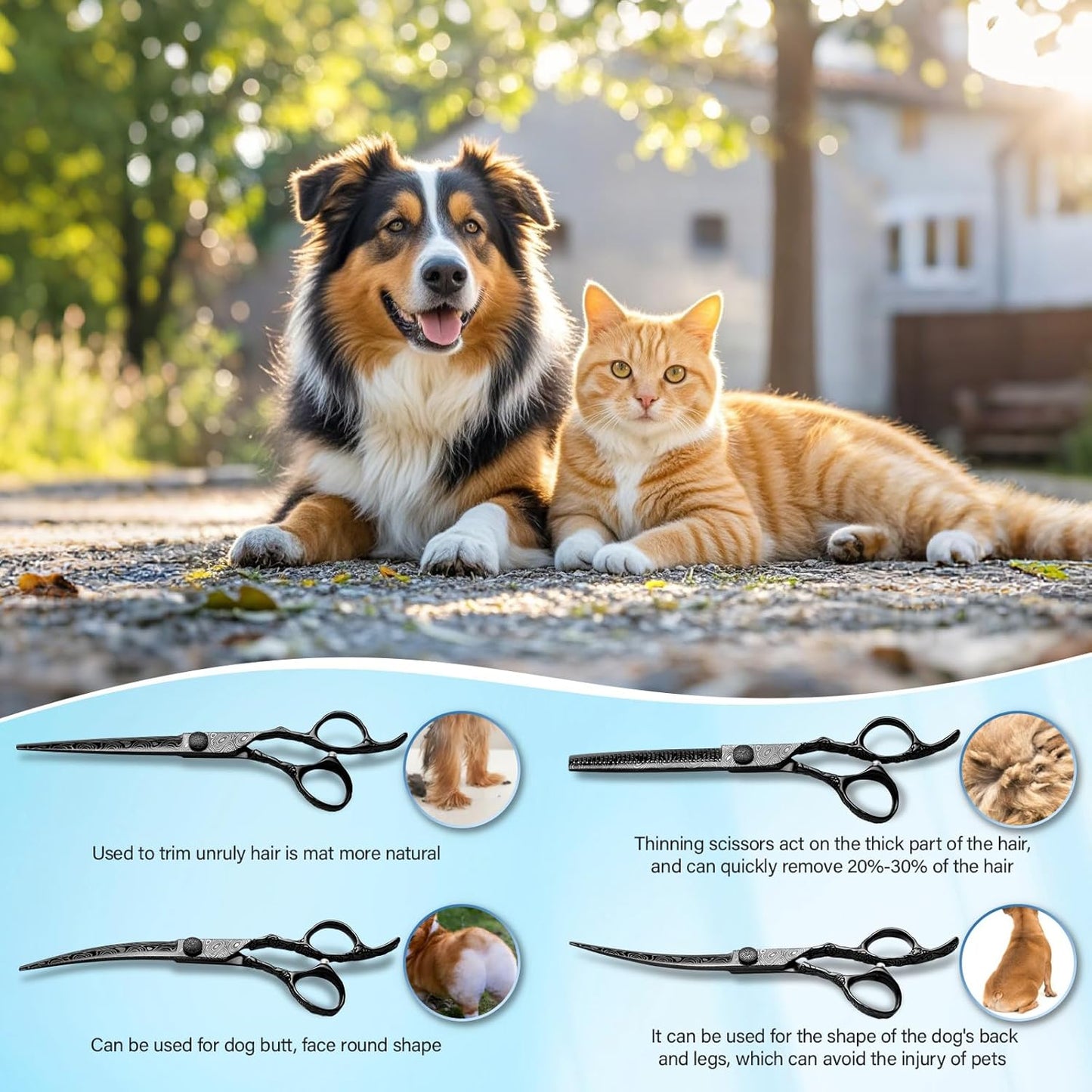 Professional 5-in-1 7.0-inch Black & Gold Dog Grooming Scissors Set - Straight, Thinning, Up & Down Curved Shears with Comb