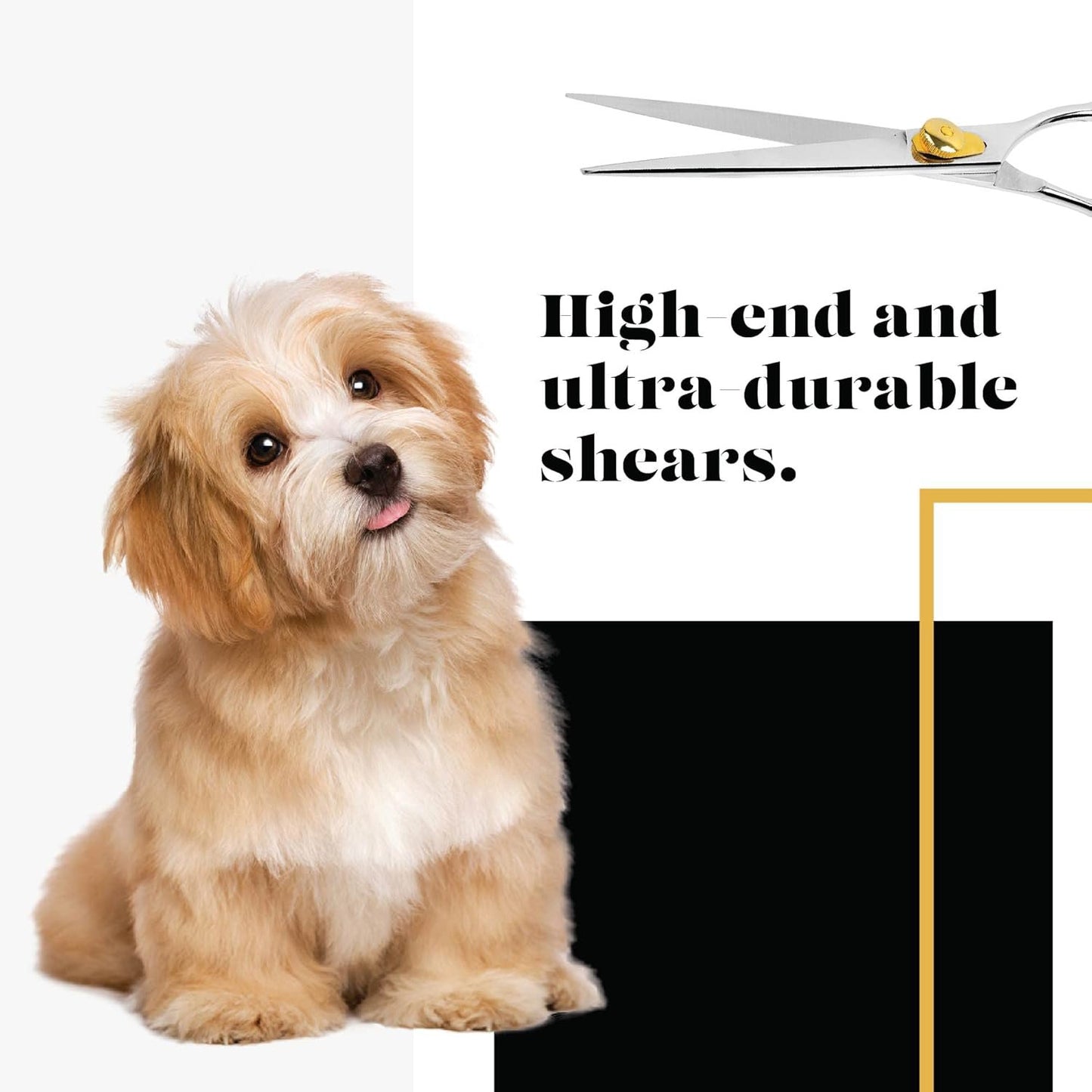 Gold Touch Professional Straight Pet Grooming Scissors - Great Gift Idea with Case