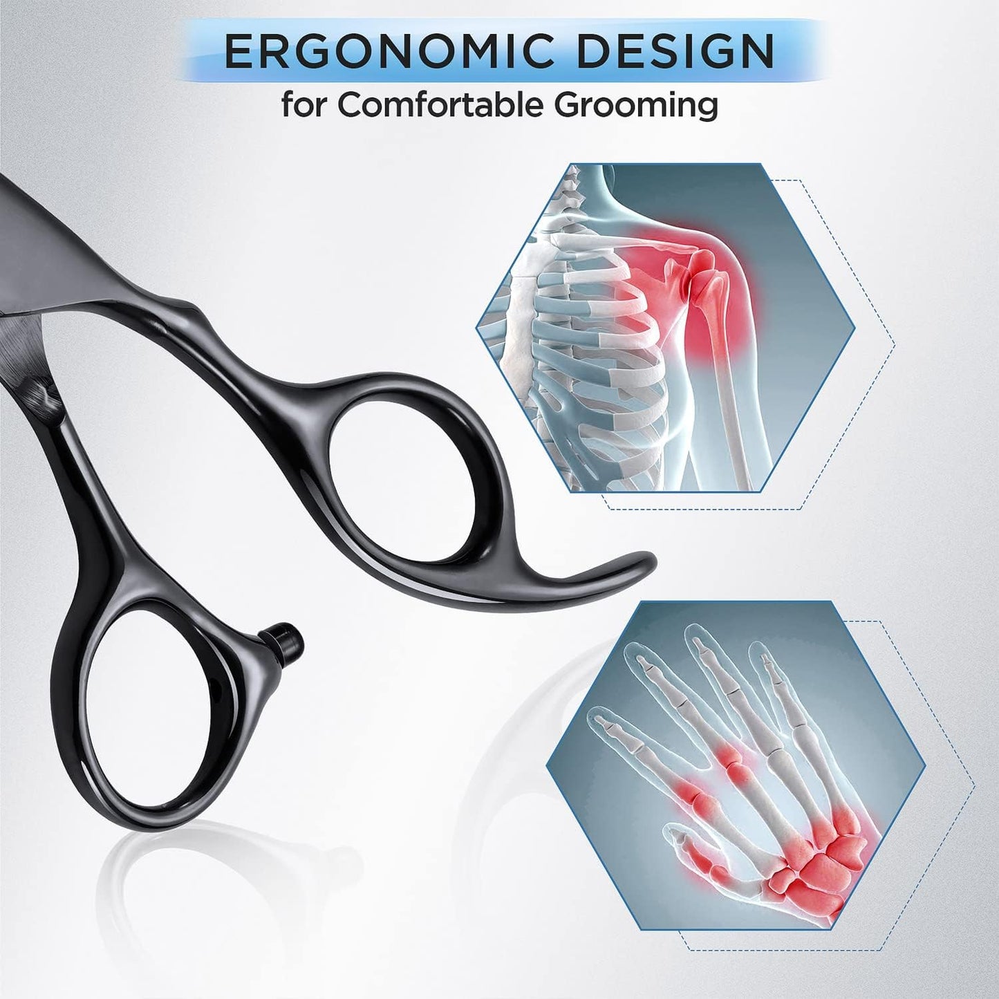 Sleek Black Professional 6-in-1 Dog Grooming Scissors Set - 4CR Stainless Steel with Safety Round Tips & Case