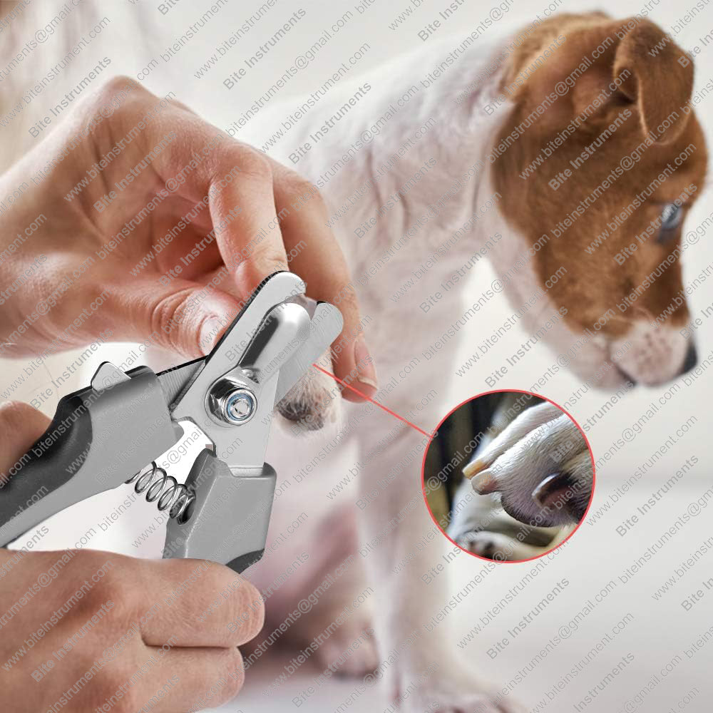 Best Pet Nail Clippers for Dogs & Cats – Professional Grooming Tool | Bite Instruments