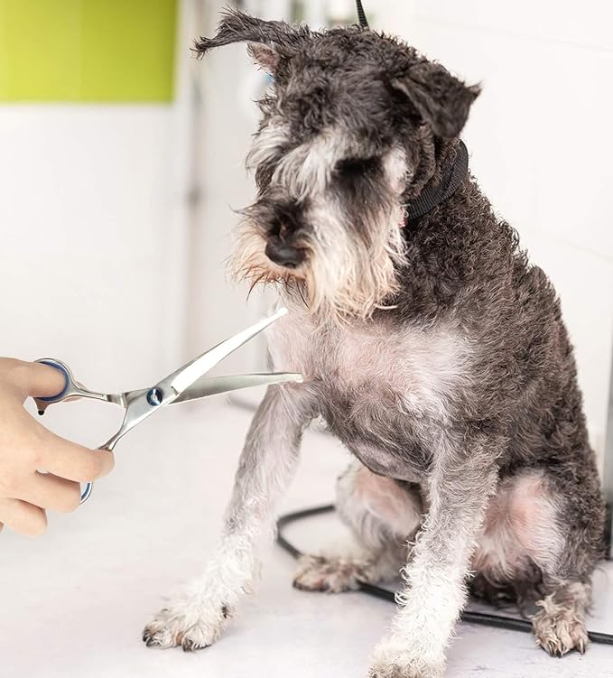 Curved Grooming Scissors for Dogs and Pets – Safety Round Tips