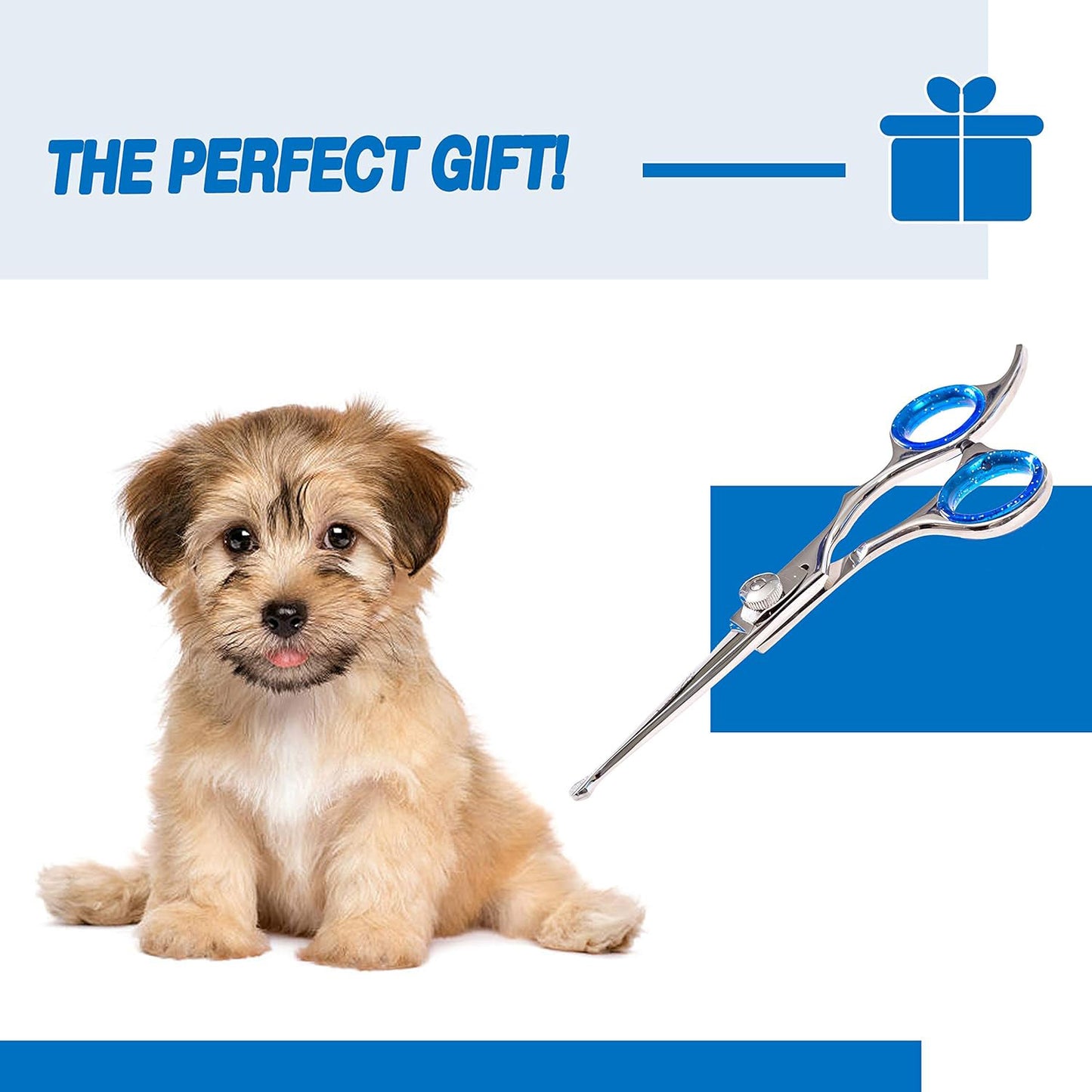 Premium Straight Shears Right-Handed Professional Dog & Cat Grooming Scissors