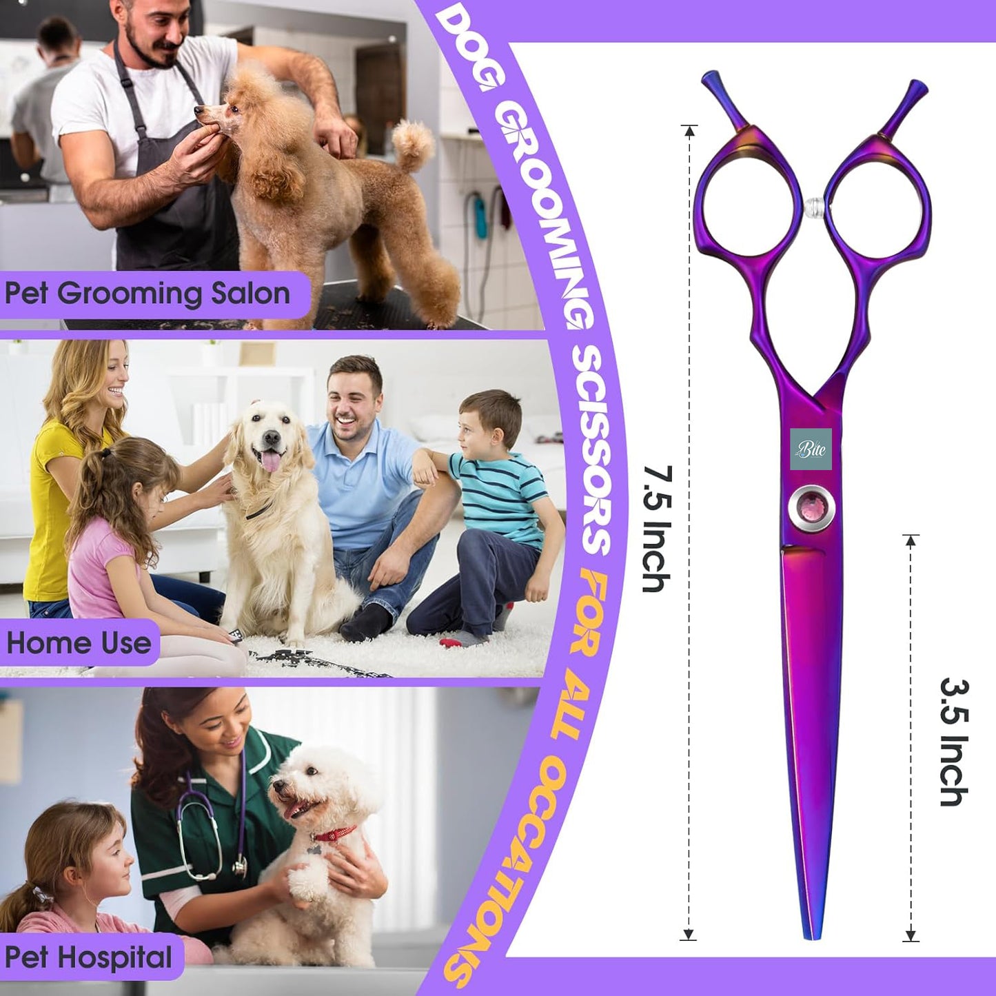 Premium Straight Shears Right-Handed Professional Dog & Cat Grooming Scissors