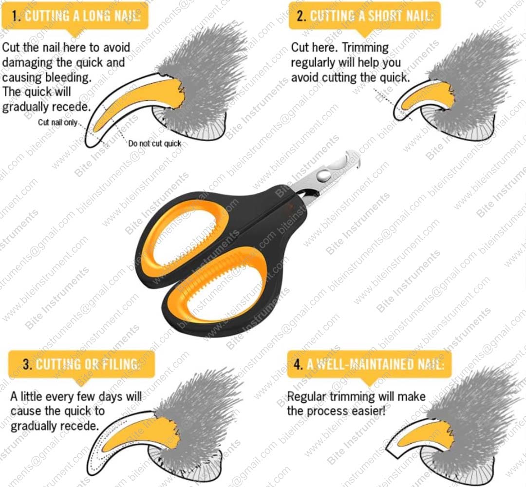 Best Pet Nail Clippers & Claw Trimmer for Dogs & Cats – Professional Grooming Tool