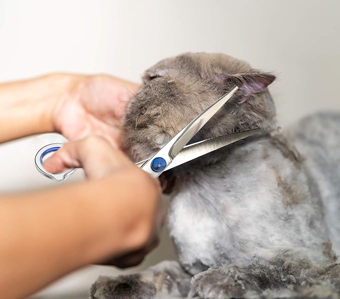 Curved Grooming Scissors for Dogs and Pets – Safety Round Tips