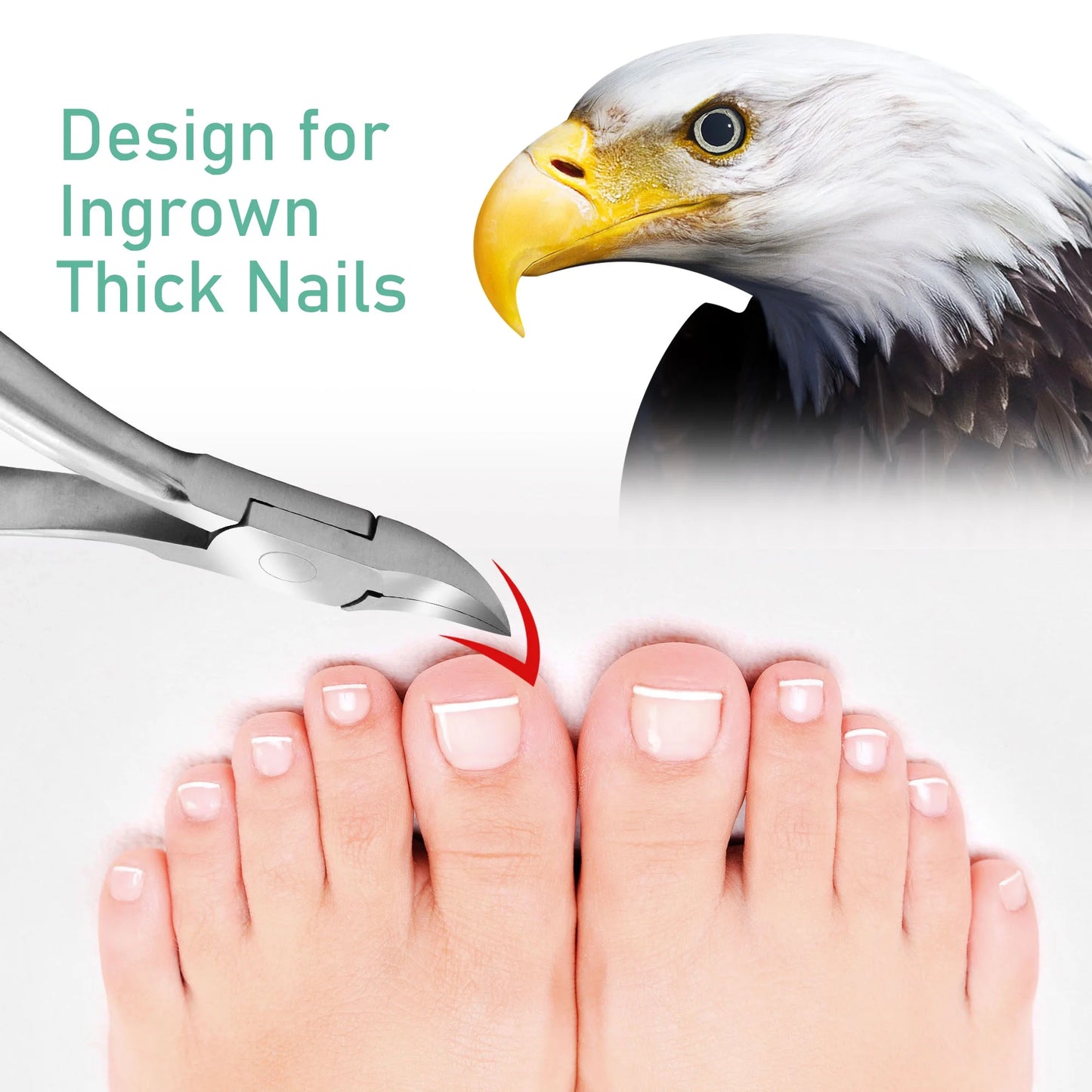 Professional Pedicure Toe Nail Cutter – Stainless Steel Toenail Clippers for Thick Nails | Bite Instruments (Sialkot, Pakistan)