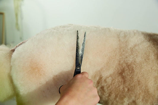 Premium 6.25" Left Handed Professional Dog & Cat Grooming Straight Shear