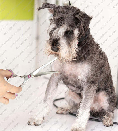 Curved Grooming Scissors for Dogs & Cats – Professional Pet Shears by Bite Instruments