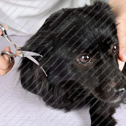 Curved Dog Grooming Scissors | Professional Pet Grooming Tools with Safe Rounded Tips – Bite Instruments