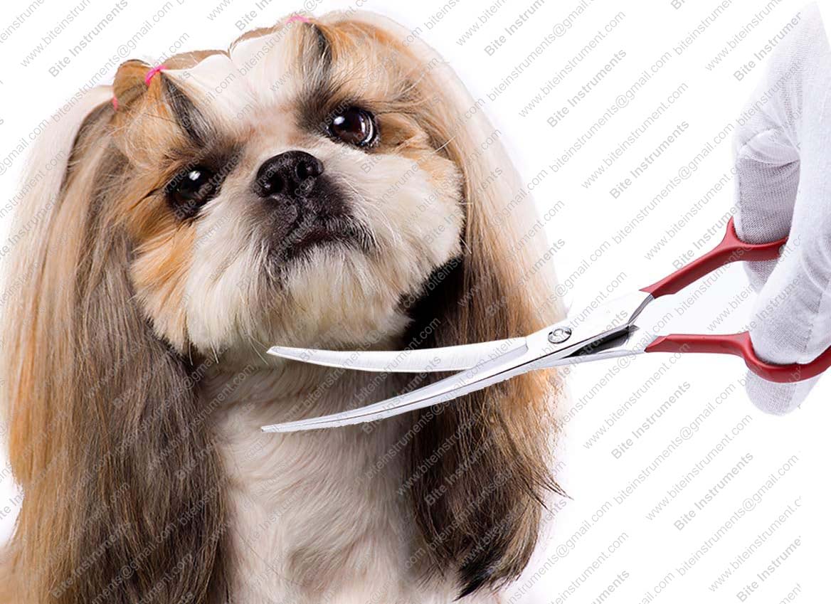 Curved Grooming Scissors for Dogs & Cats – Professional Pet Shears by Bite Instruments