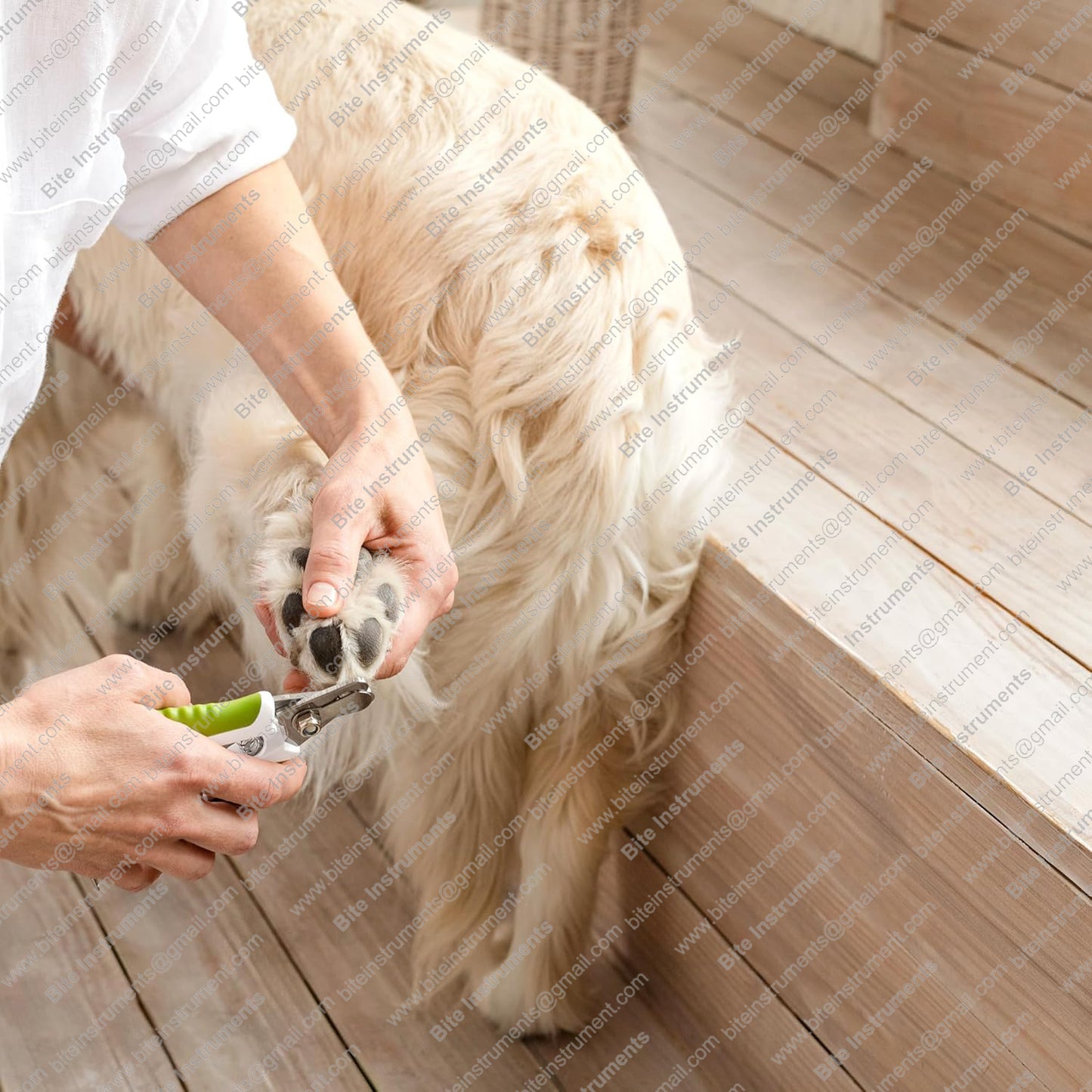 Best Pet Nail Clippers for Dogs & Cats – Professional Grooming Tool | Bite Instruments
