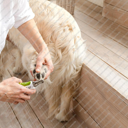 Best Pet Nail Clippers for Dogs & Cats – Professional Grooming Tool | Bite Instruments